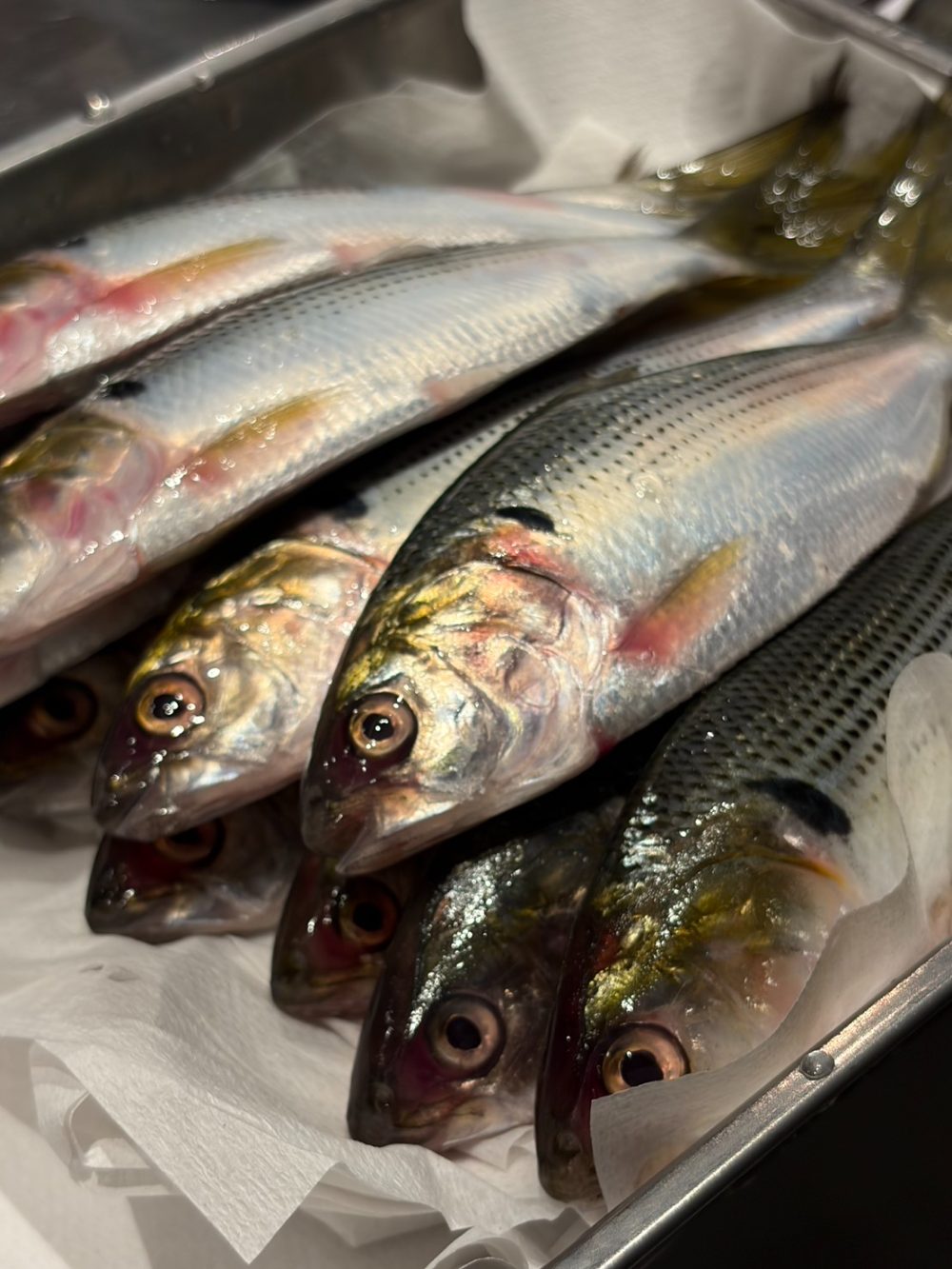 仕入れた天然の魚