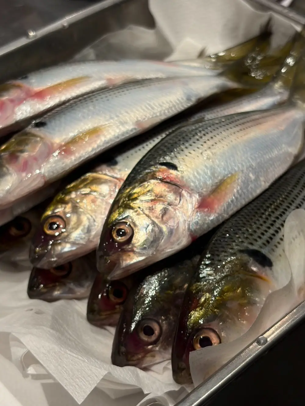 仕入れた天然の魚